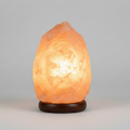 Ivory Living Pink Himalayan Salt Lamp